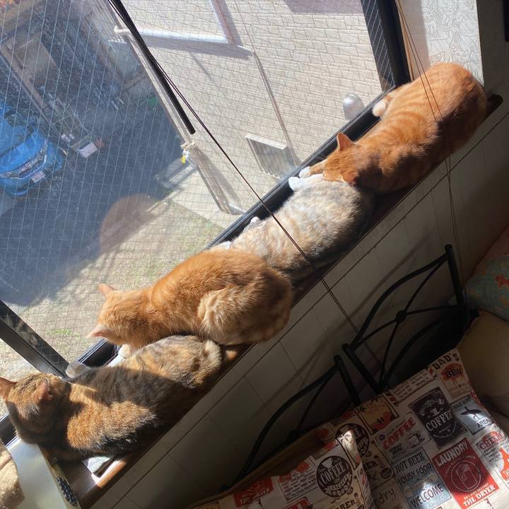 347b1c7e fb3d 46f5 bd8c 44b699aeeb81 1585101018632