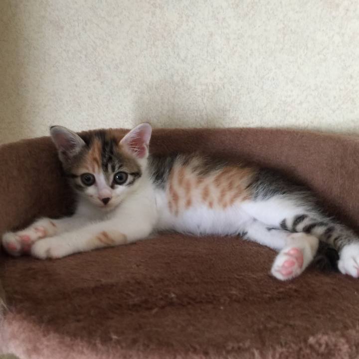 347b6696 6281 4626 9679 117f56b61d1e 1630982928502