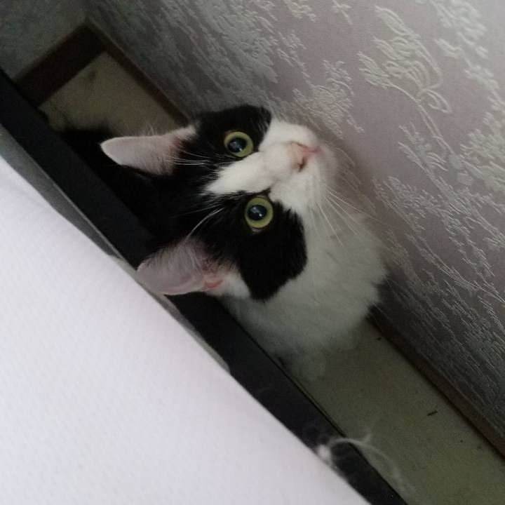 347b7122 8d0b 4522 9761 22174d6d7bcb 1569110139419