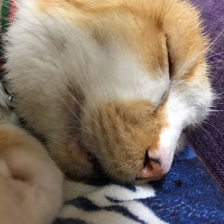 347b9216 7b95 4722 bf9e df5ac047c3dc 1537528553532