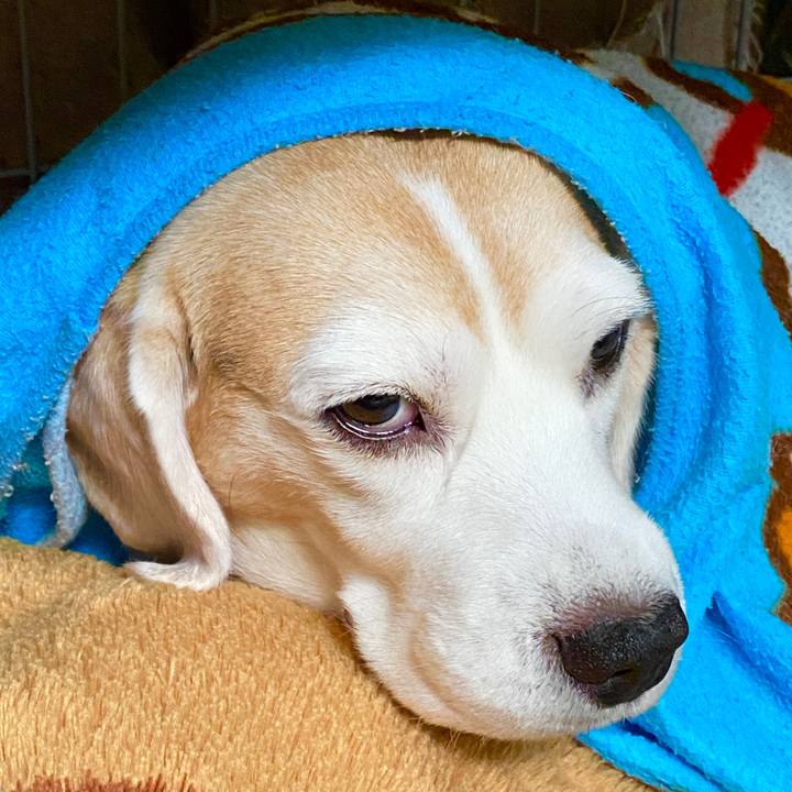 347b957e eca1 4ba0 b143 507e38ed1ad3 1579148788911