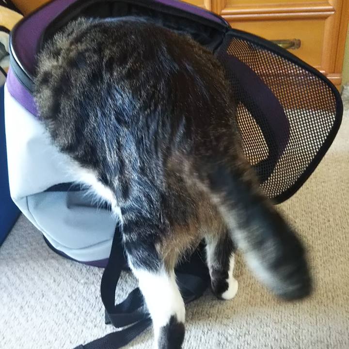 347bbe8f 9b4a 47d9 96fd e8070251c844 1607697616430