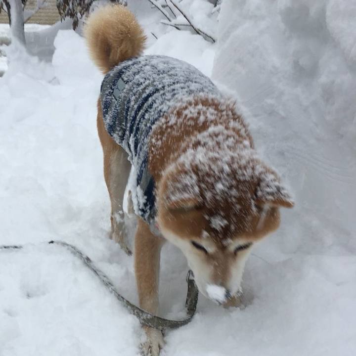 347bc888 9884 420b b26d 170a85c46f4a 1514364464147