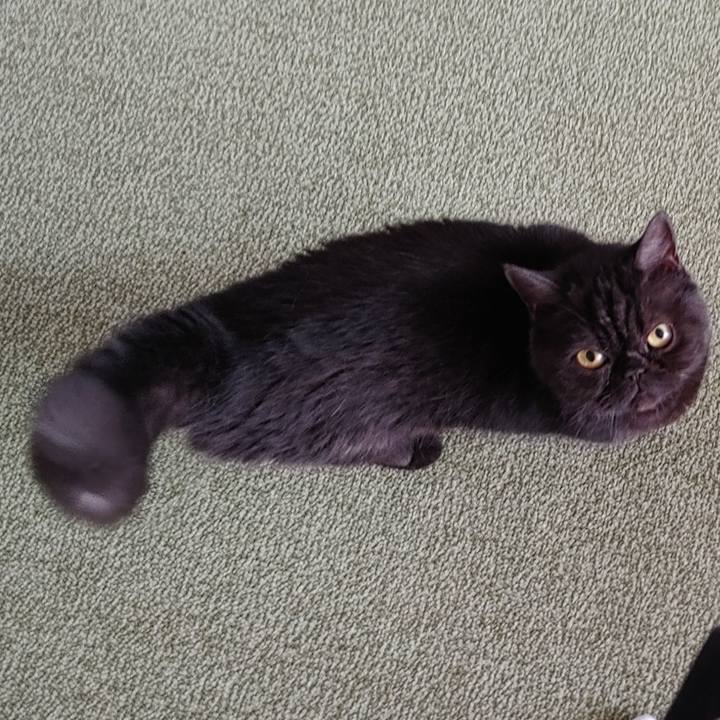 347bd48f c55f 44db 96d4 b0c56e3e43f0 1630727032887