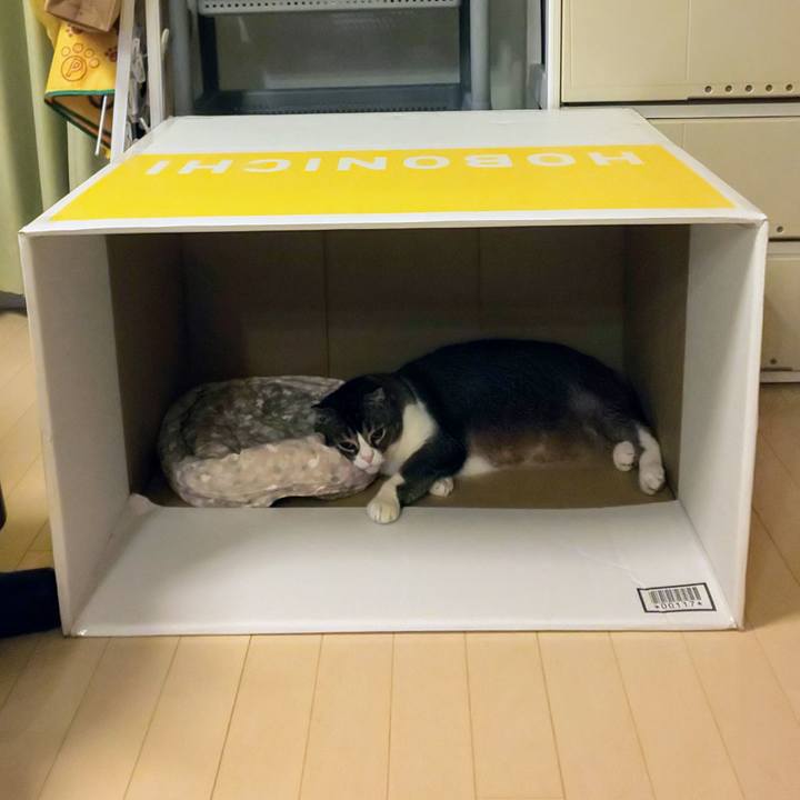 347bddde a1eb 4d7a 9619 de0db56fb46e 1747479328109