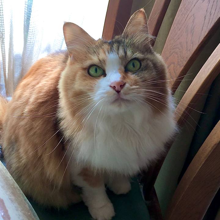 347be53e ceaf 4ca8 a25f 1c656c829699 1601713814908