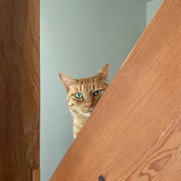 347beb43 d723 4f5a 878b dad5eef7db52 1654559864386