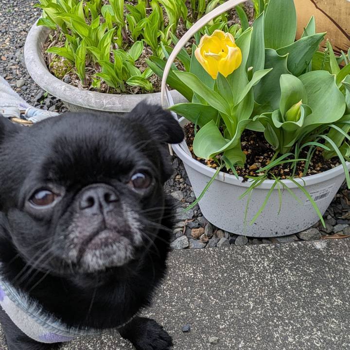 347bf370 4f27 4394 8589 bc9c83aad8d4 1775265820630