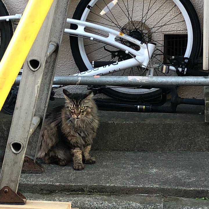 347c2145 031e 4e1f b94b 6a7a4f3c2291 1529687636461