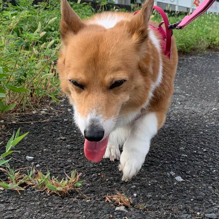 347c2abb 478e 4ae6 bd7f a10b1ffe3efe 1723679901786