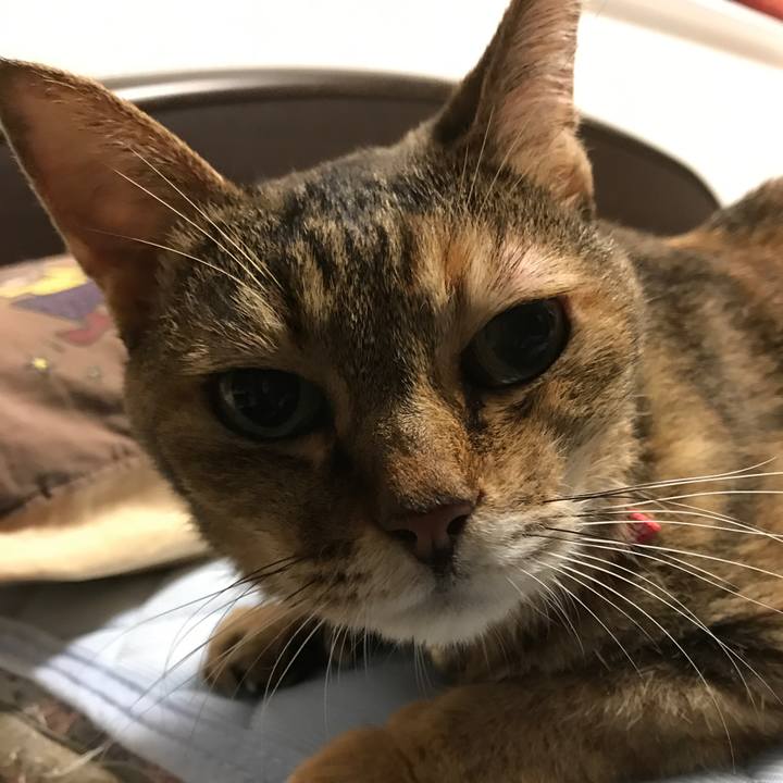 347c2e12 2714 4ec3 b693 3e0605f3a9e2 1535404658474