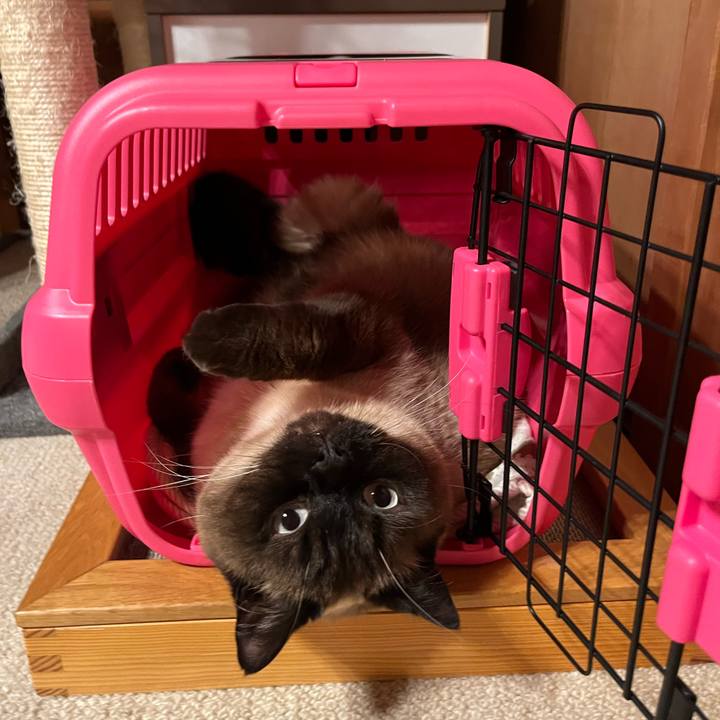 347c785d 7f1f 4152 9403 f1ff7ef95932 1648558715996