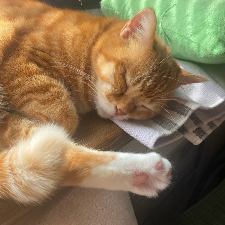 347cc909 530a 4723 ab6c 00c4a42b21e6 1614998745657