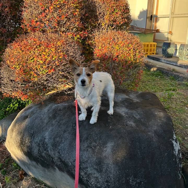 347cff9a 8628 4ad1 81a9 8bff6c99d132 1764892098995