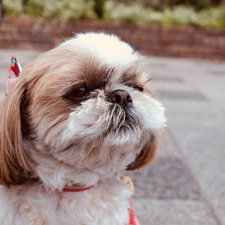 347d0664 0773 412d ab1c 24d863dc7163 1525323814720