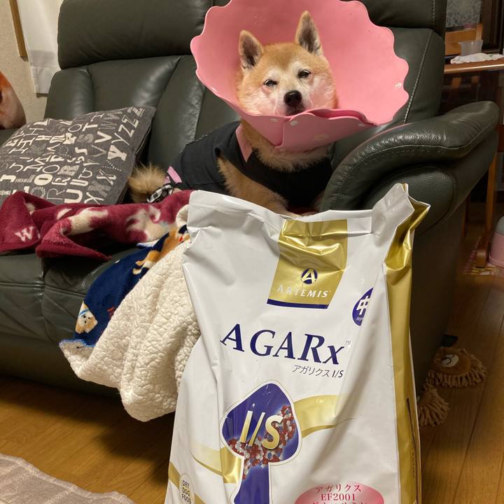 347d0d72 f7d9 4da3 bdc9 7ab35c7584ff 1638101220577