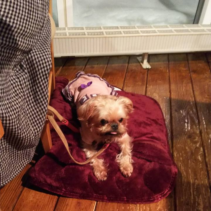 347d100e ffb7 4629 8d3b dc8d2c21829f 1513951991001