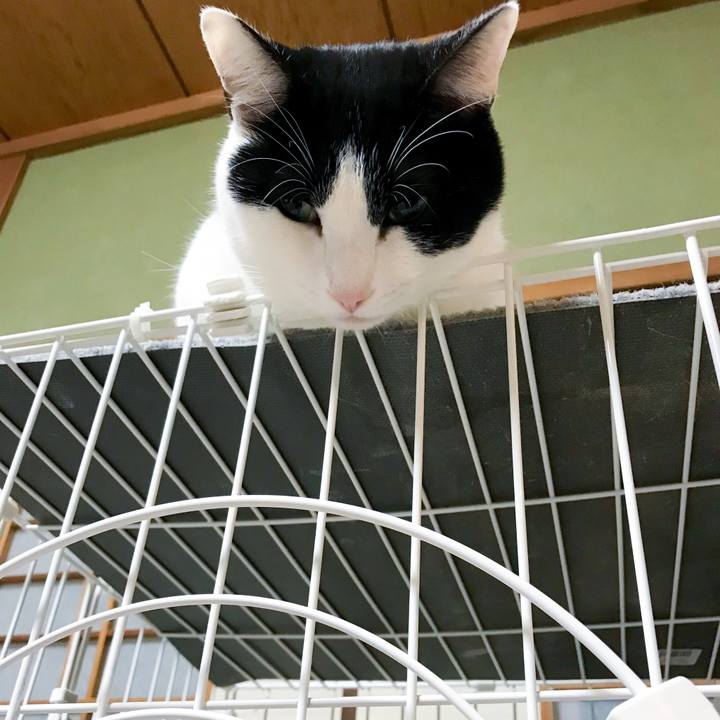 347d38b4 a5e4 4da9 aae8 c15e6dcc8346 1517966399486