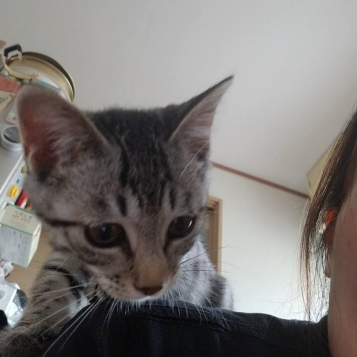 347d3dff b131 49d5 a8bc ddf1931c0b8c 1665318908347