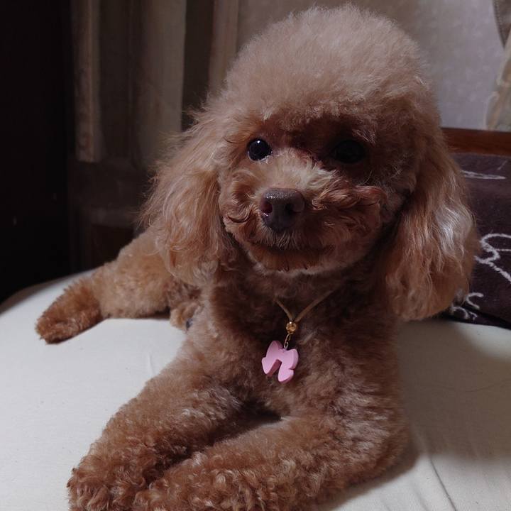 347d4374 cc4c 46dd 8a47 0a6d997eecb1 1715434276845