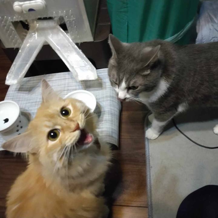 347d6938 62c9 4242 96e8 461b557bab07 1689077445411