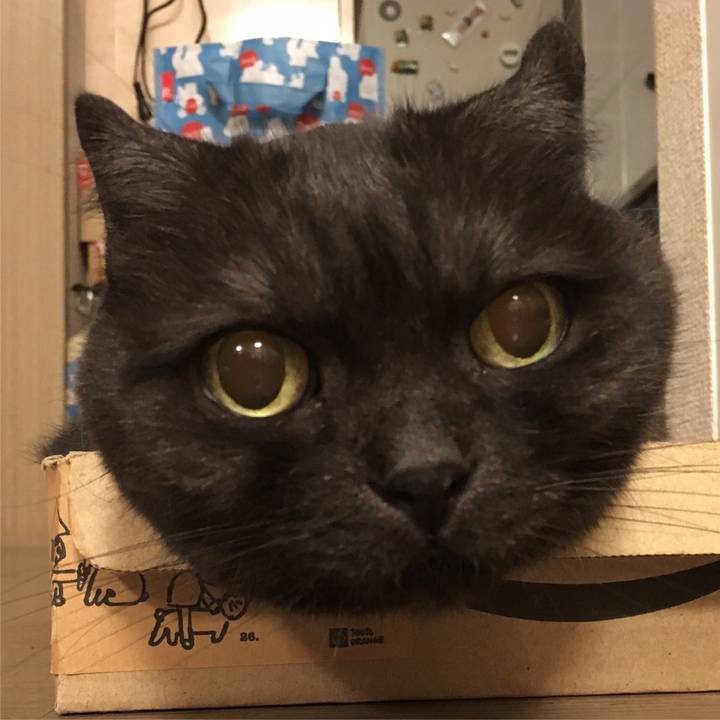 347dc2a7 0b88 4682 a8d9 b98d0c7a17a7 1561256276274