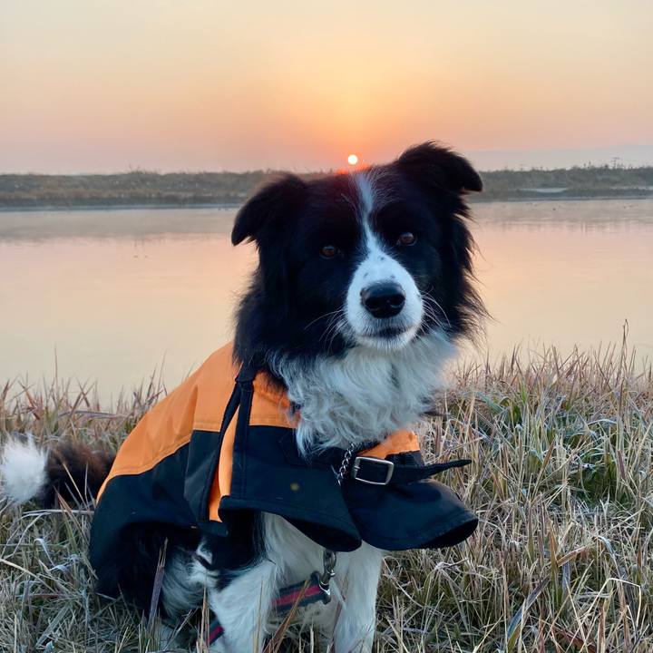 347dd43f 3c97 4695 97dc e250779c7bb2 1608676591786