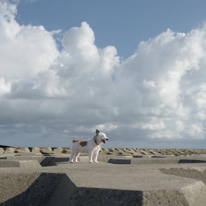 347df8c5 e22c 4ebc 8d0d ebac511b4e1e 1569388656844