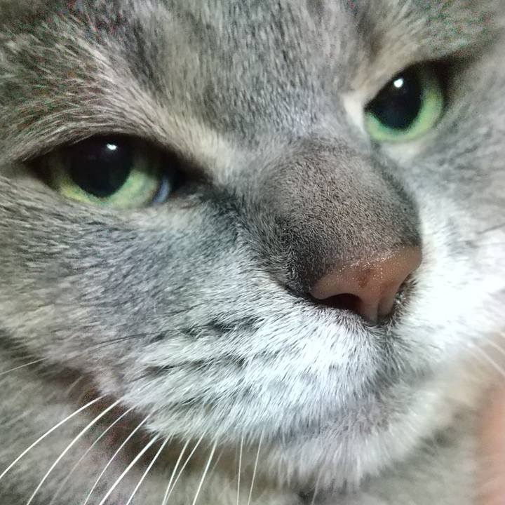 347e1197 2ced 4b65 a0fc 2206de31c09b 1625500981822