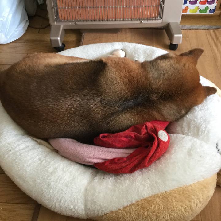 347e1d77 232a 4865 bb11 22c301973044 1583207516228