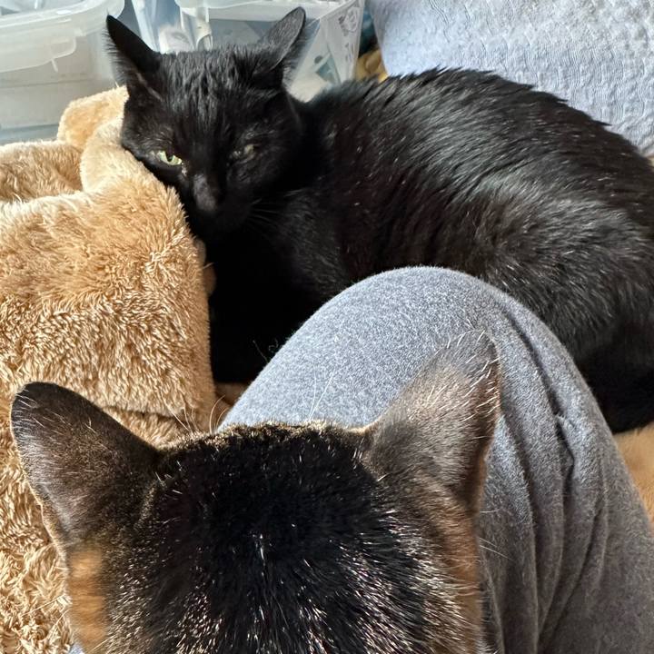 347eac86 f37a 40fb 97c0 35a8e7aea910 1670031926599