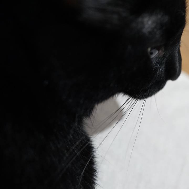 347eacdb 8e25 4293 9ecf 8a4829a21fb4 1565913204107