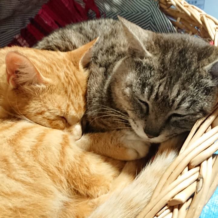 347edf97 02dc 4aa0 a9db b4c7d6f4942c 1561789870952