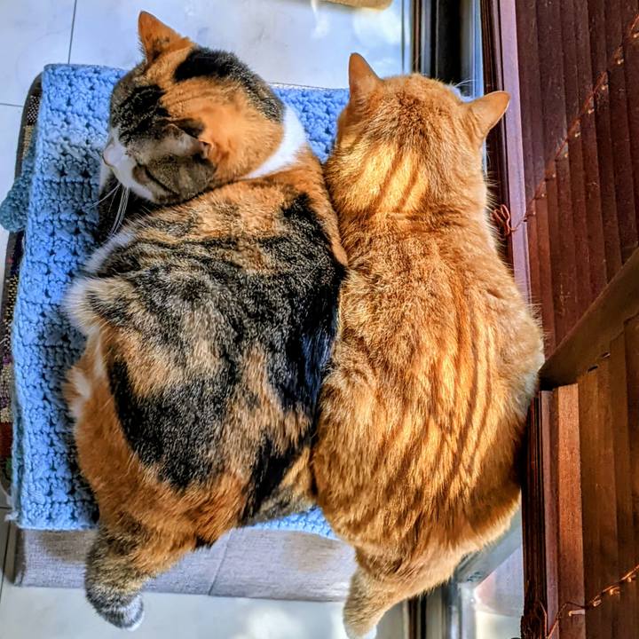 347eeace 50de 4962 bb91 8c0989a1f106 1772848981463