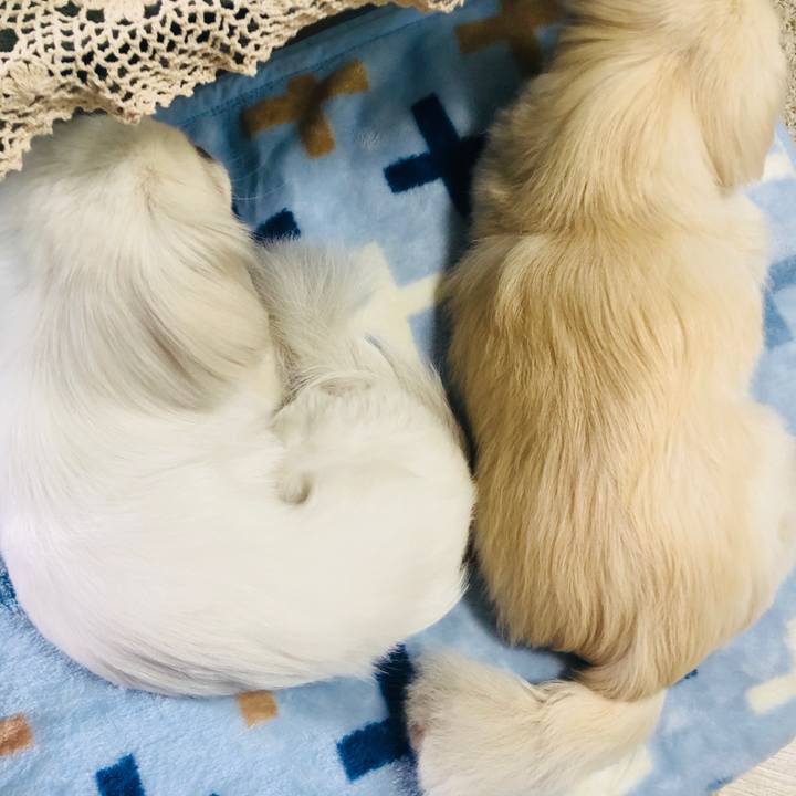 347ef01e 4552 44d7 ac9e 648a26f350bc 1586745473709