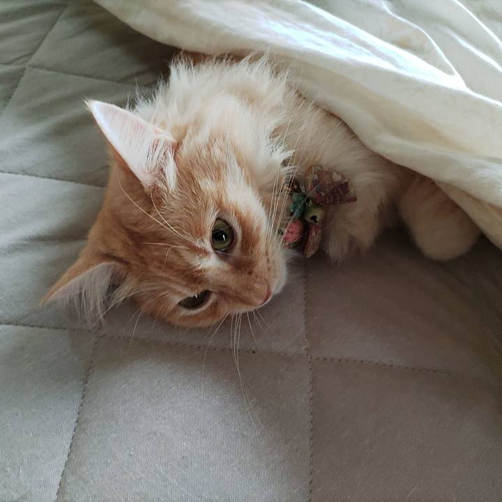 347f1ca8 418e 4dfb 8523 565c0342201d 1691963821927