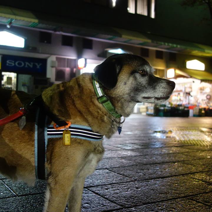 347f27aa cf03 43f8 9cd1 a8a490b80d9f 1541761493752