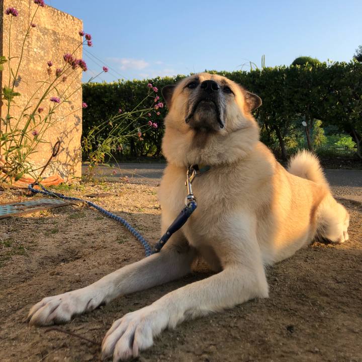 347f3b89 989d 4d84 876c 14fa47c21fd8 1633695133380