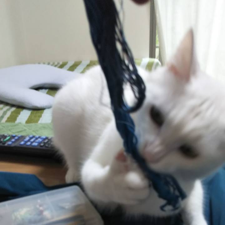 347f46f2 4b4f 4def b2b4 e325369f4717 1625116089342