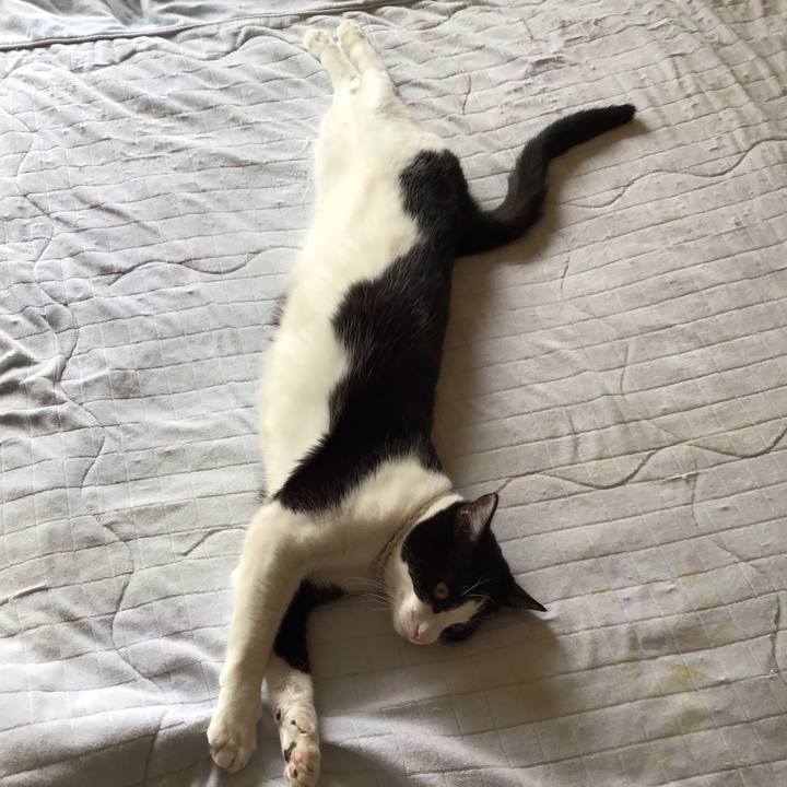 347f4738 5e94 4d23 b44e 33b115b6a1ed 1654407264758