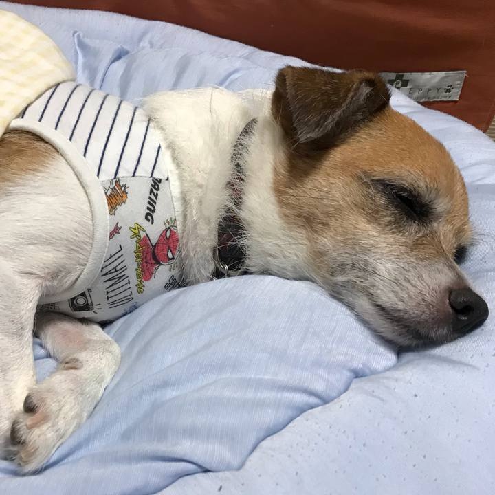 347f583a 1468 48d3 9e96 c075c4d70b92 1569936643734