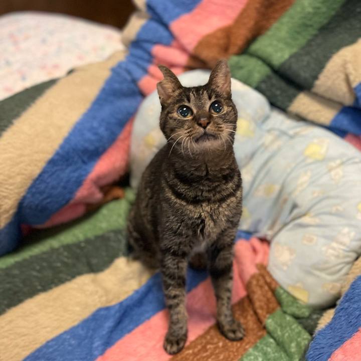 347f5bd2 b6d9 43bd 9d6f 0e6c79b33334 1772797000951