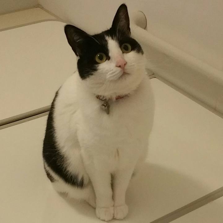 347f609a 8b86 42a4 918c 0b051febab6a 1555545036344