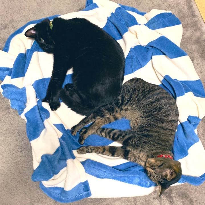 347fe644 8e63 483f 9f23 431d1d72fe80 1575980881080