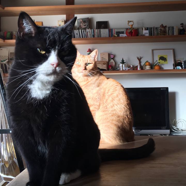 347ff36a b0a9 460f 826f 114cab9ef7b7 1578608074031