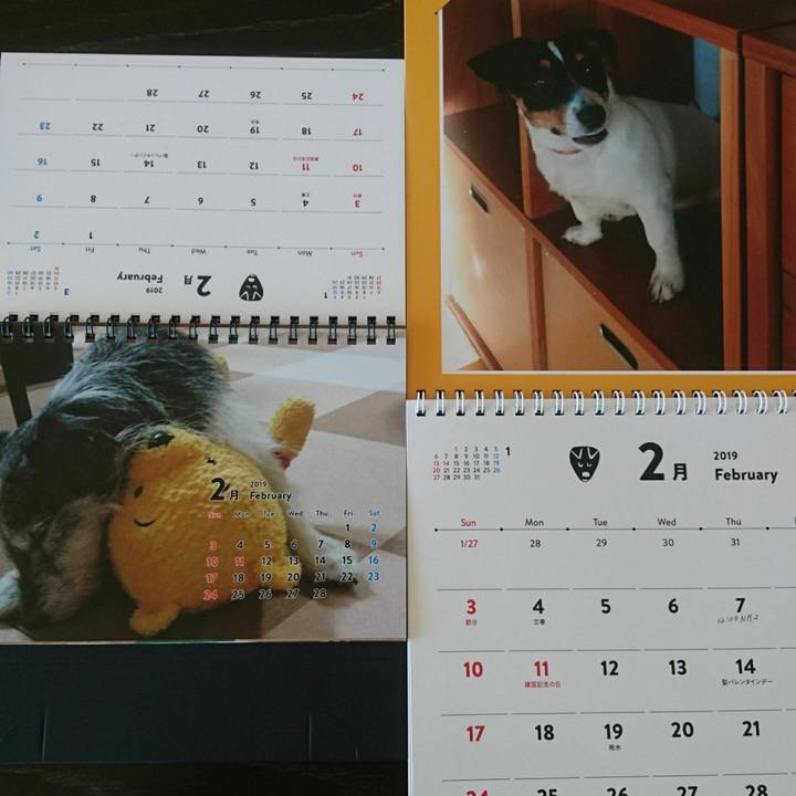 34803b6e ea8d 4b6a b432 66d8bace4a9c 1548984386944