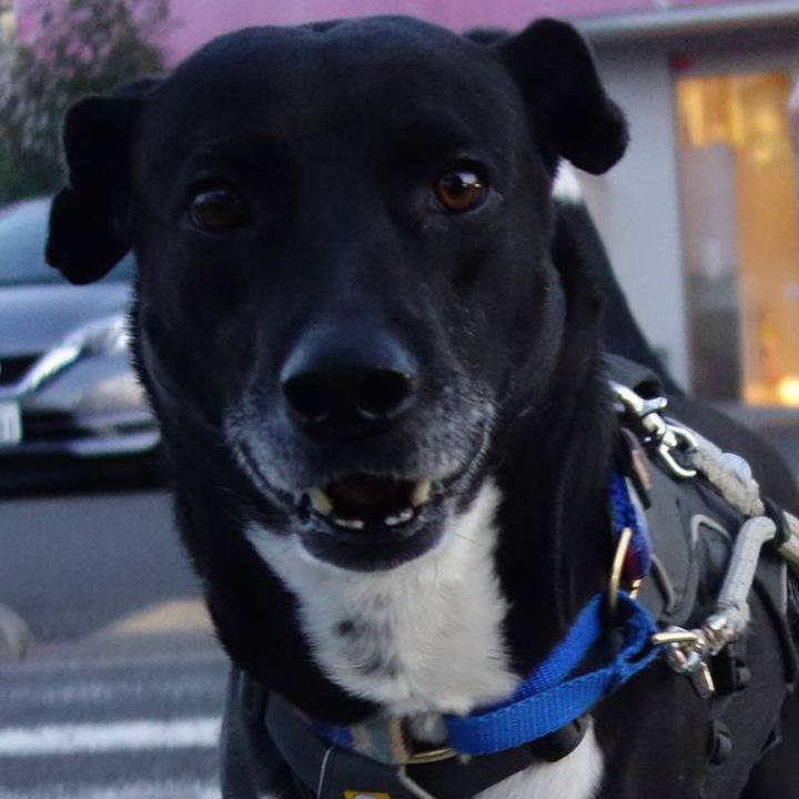 34804998 2053 4349 8f7b 8e80ebaf73fa 1649502767200