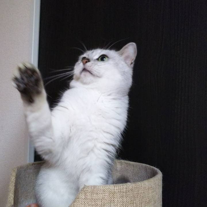 348057b6 bdbe 4972 bd79 15fc1f3b2a9c 1512702628350