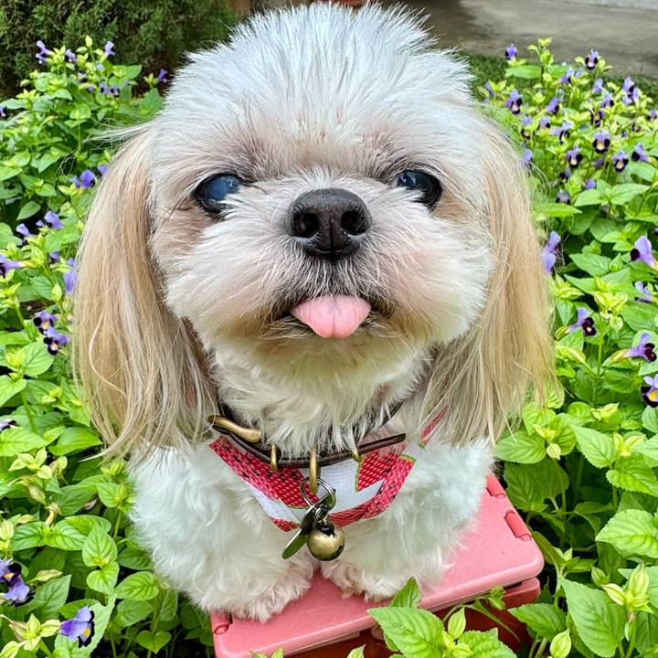 34809121 5970 4a21 a3c9 98aa62353e25 1756622729374