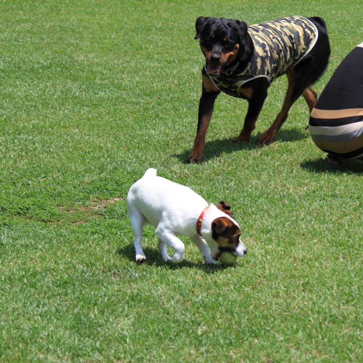 34809e8e c782 454d 9bde 43c05a2a36c5 1528799748236